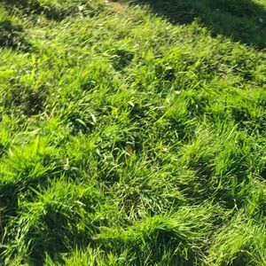 Meet your Posher, Starr